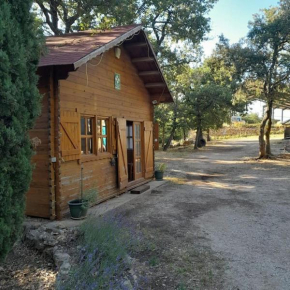 La cabane en bois